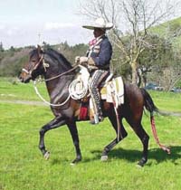 Charro y su corcel