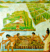 Chinampas jardines flotantes